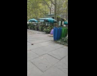 Guy aladdin costume rides flying magic pt. 4
