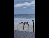 Four women bikini WAP Dance Challenge beach