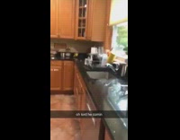 Collab BitchMP - Small green bird runs across counter when girl slaps it 