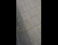 Guy knocks food container from friends hands