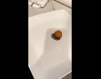 Irritated woman gives husband one mini burger