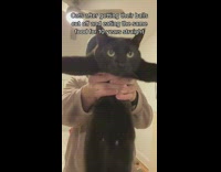 Collab BitchIG2 - Guy holding black cat moving it around dancing