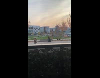 Girl throws leaves on friend sitting wall