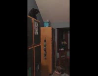 Kid play catch with black cat on cabinet