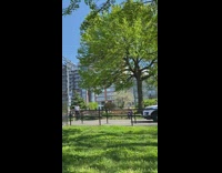 Guy argues with cop dog face mask 