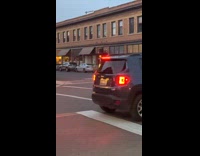 Group of deer run on street night