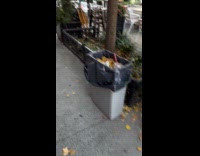 Dog wears beer costume held by owner