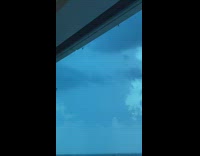 Spiders crawl down glass window woman birthday part 1