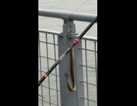 Eel caught hang on fishing rod line