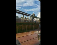 woman bench seagull picture