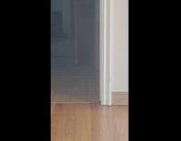 Collab KaleSaladIG - Two bird fly into guys house