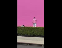 Man pink leather jacket Balenciaga pink ice cream pink wall