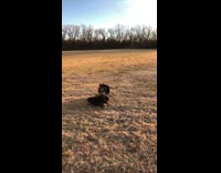 Guys lays down and friend laughs 