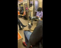 Guy with grey bird on stick subway