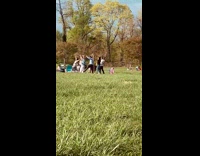 Collab IITW - Family Films Dance Video in Park