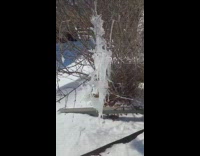 Submitter films icicle on bush at yard