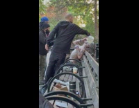 Guy pour milk on his whole face with his friends at street