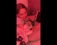 Cat cuddling with little girl in red light room 