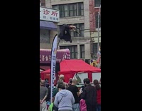 Woman on tall stick swings back and forth 