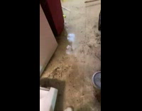 Water floods building from toilet 