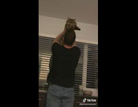 Collab BitchIG2 - Guy lifts cat and gives makes fart noise in its stomach