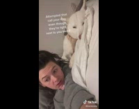 Collab Clips MPUGC2 - Dog hits girls arm calling dog challenge