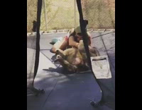 Girl sunglasses outdoor trampoline with monkey chimpanzee