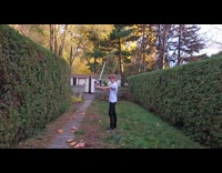 Guy slices Halloween pumpkins in the air