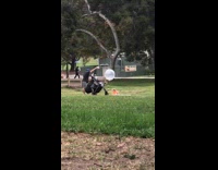 Orange dress baby girl white balloon grass