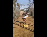 Girl gets shot with softball machine