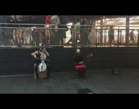 Musicians with metal animal masks 