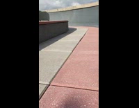 Slowmo Brown Dog Jumps Around On Grey and Red Concrete