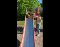Dog slides with leash on the playground