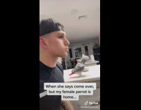 Guy has girl come over with girl parrot