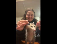 Girl holds up baby possum making it dance 