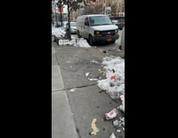 Parked white van with purple bra 
