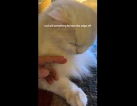 White cat tongue between fingers