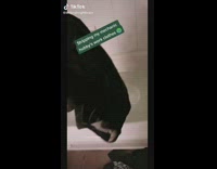 Clothes soak in bathtub tide arm hammer 