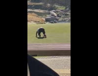 Guy black pants kick side cardio exercise