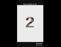 Small brown dog bites white chicken bird