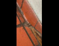 Guy talk to mouse peek though hole