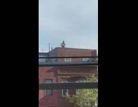 Neighbor lifts cinder block on rooftop 