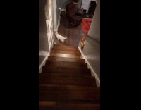 Collab Clips MPUGC - Cat stomach fat shakes down stairs