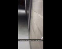 Raccoon walks into apartment room hides in bathroom