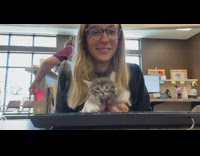 Girl lifts small kitten and makes it type on keyboard