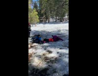 Two kids on sled hit mom snow