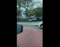 Line of parked cars with parking tickets 