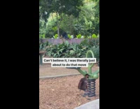Guy black shirt backflip over wooden fence