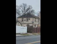 Birds flocks and lands on  the roof 