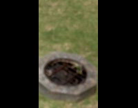 Lizard on gutter lid stares at filmer